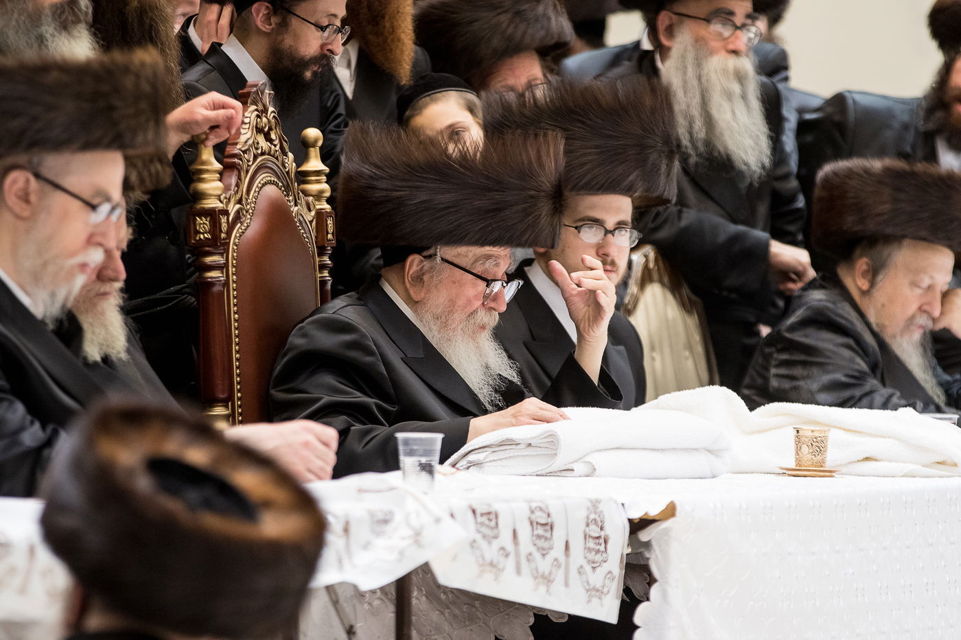 גלריה: נכד הרבי מרחמסטריווקא התחתן