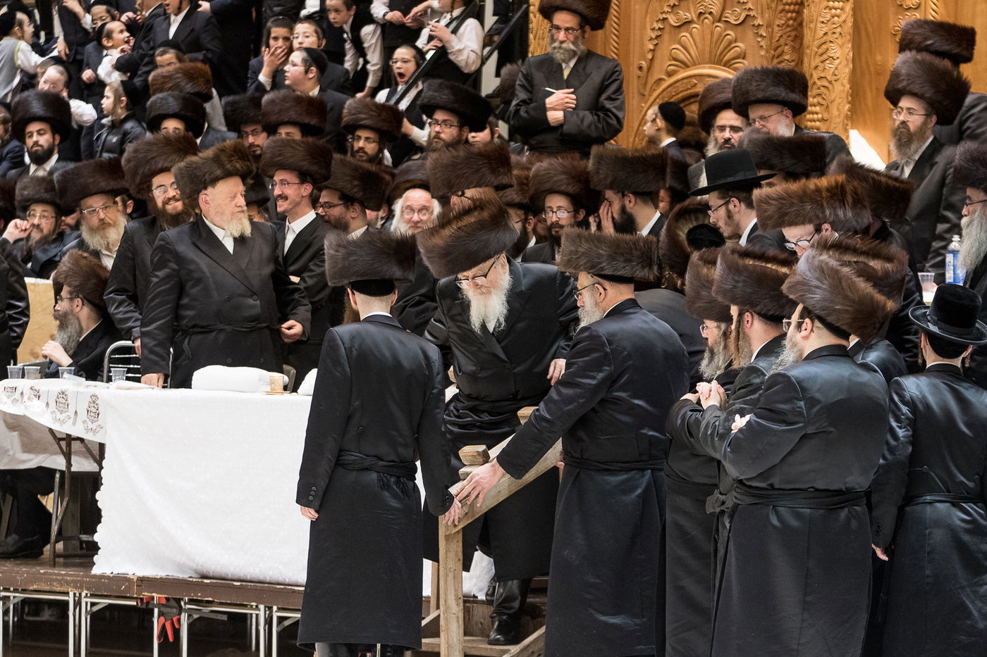 גלריה: נכד הרבי מרחמסטריווקא התחתן