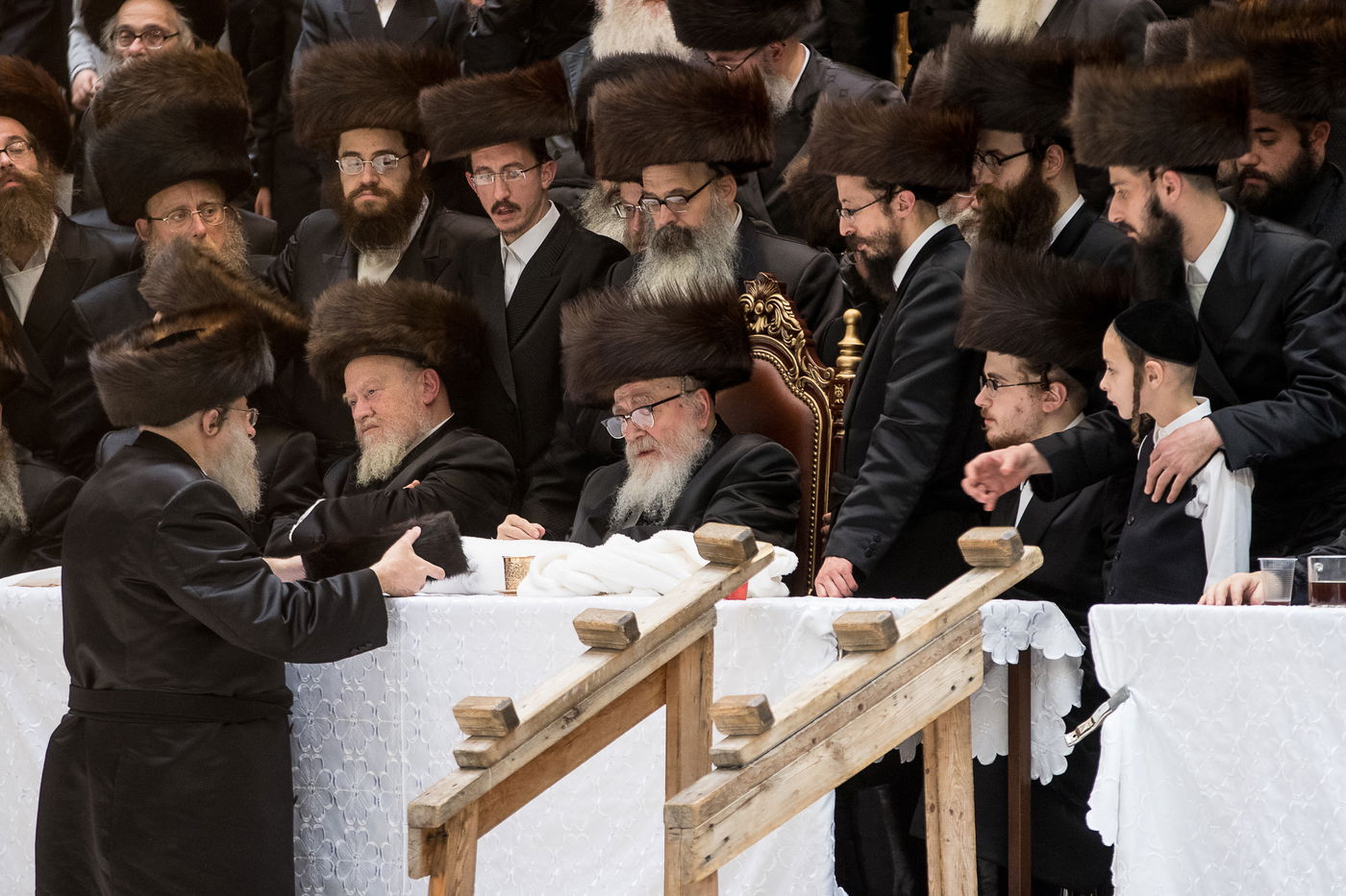 גלריה: נכד הרבי מרחמסטריווקא התחתן