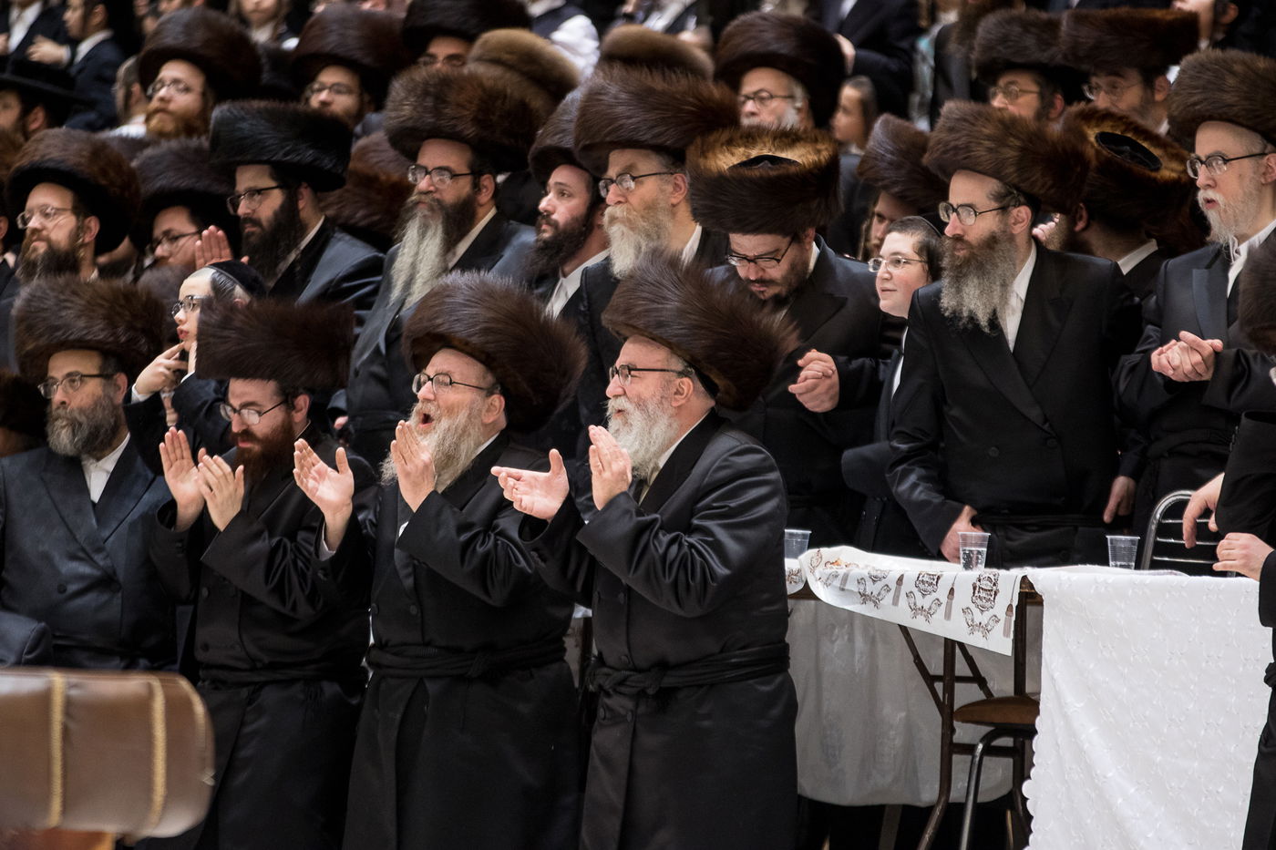 גלריה: נכד הרבי מרחמסטריווקא התחתן