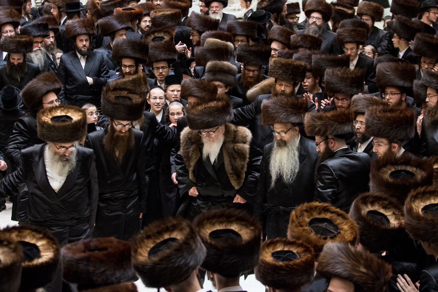 גלריה: נכד הרבי מרחמסטריווקא התחתן