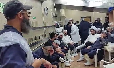 עשרות שוחטים ובודקים שובתים