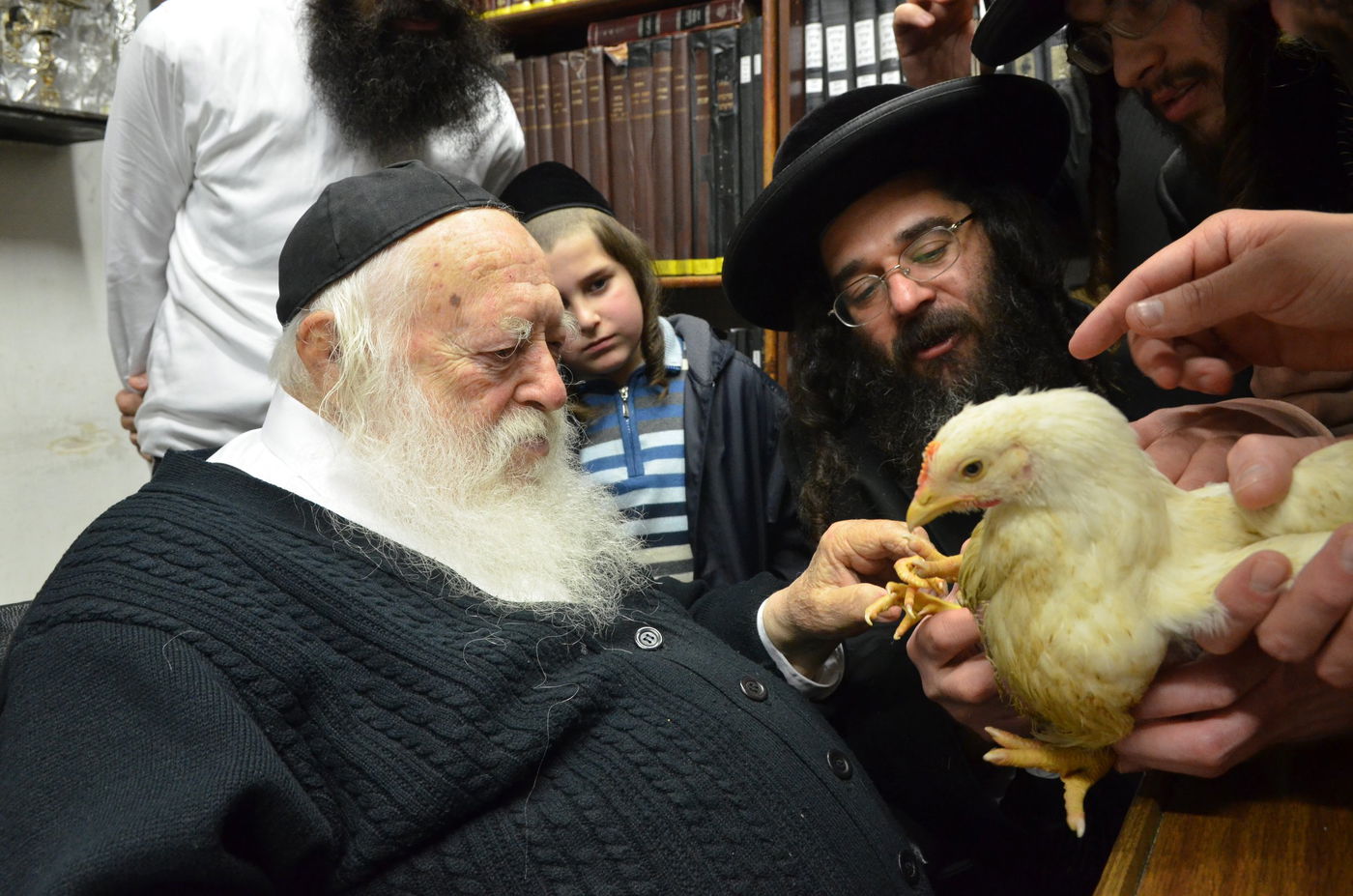 "ברוך משנה הבריות" על תרנגול • גלריה