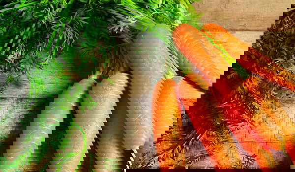 אכלו גזר כנשנושים