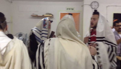 שחרית לחנוכה, נוסח קרליבך • צפו