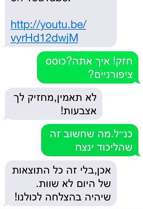 הפריימריז בליכוד: אדלשטיין שלח לארדן את השיר "נד-נד"