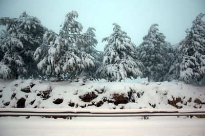 שלג בירושלים, בשנה שעברה