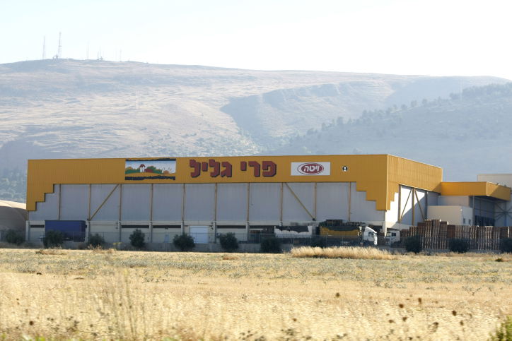 מפעל פרי גליל