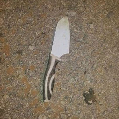 צילום: חטיבת דובר המשטרה