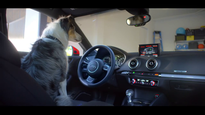 אאודי מציגה: הכלב יחנה את הרכב; המוסך יטעין אותו