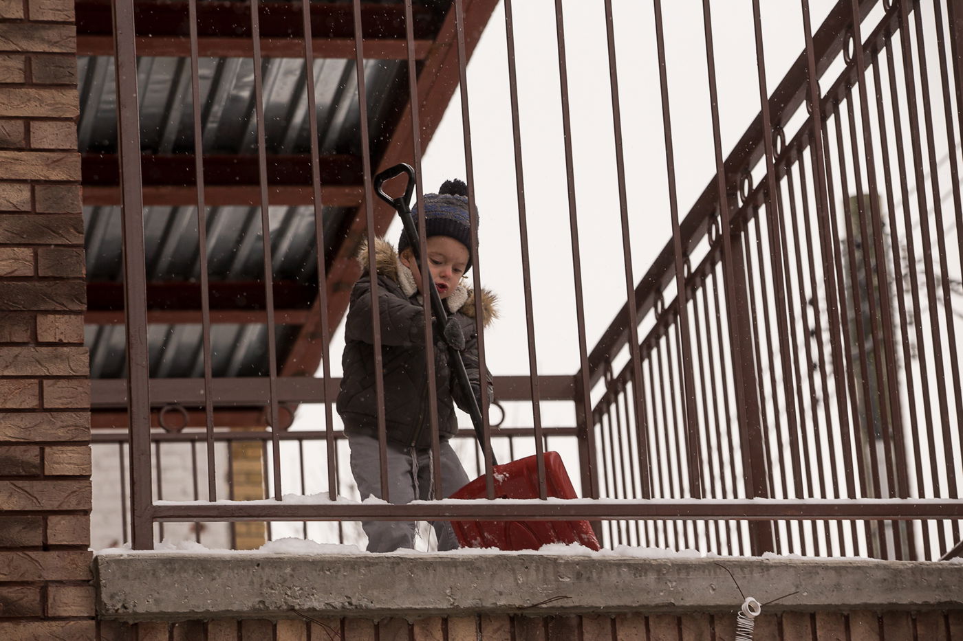 גלריה לבנה: שלג ראשון בניו יורק