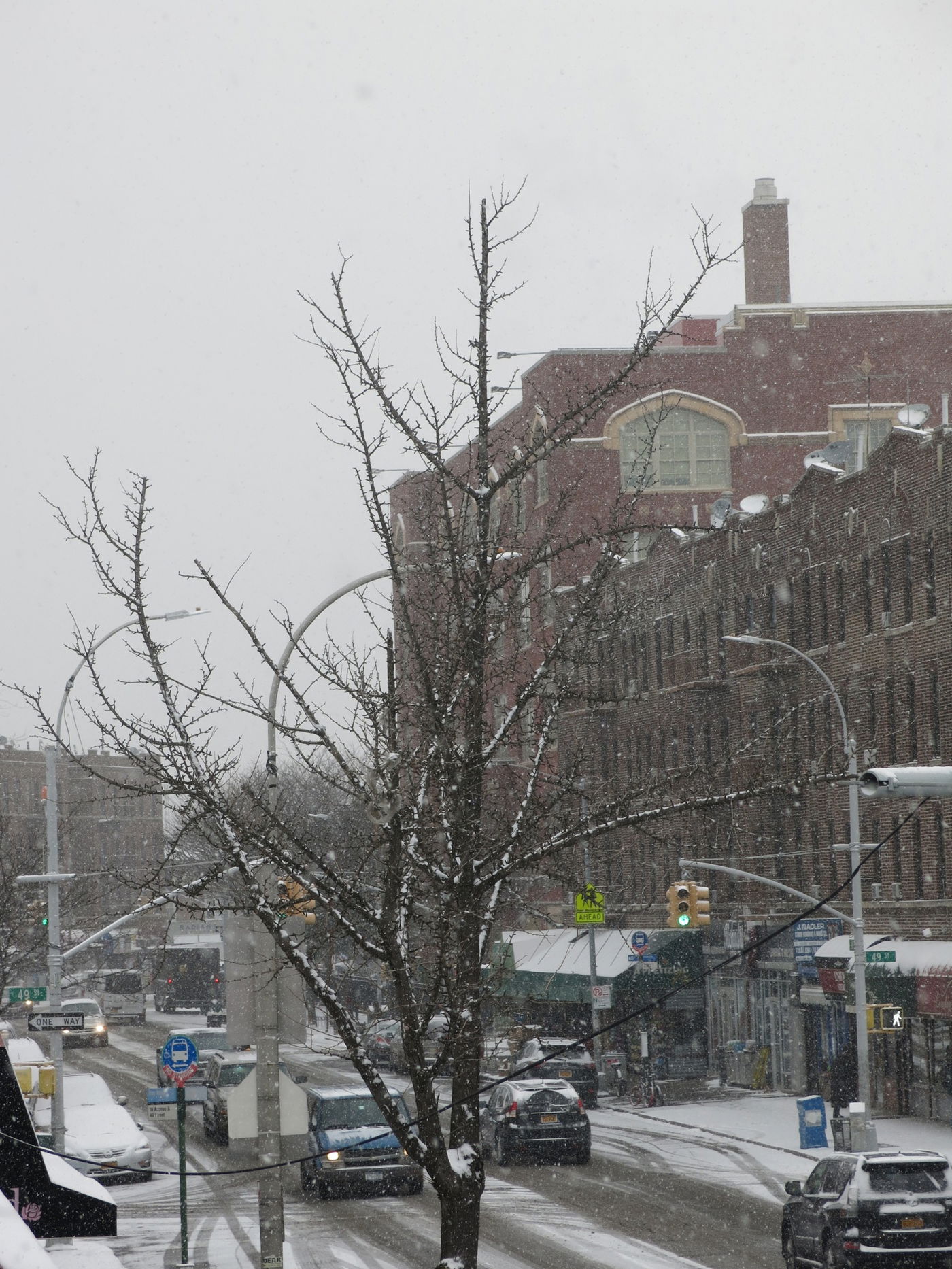 גלריה לבנה: שלג ראשון בניו יורק