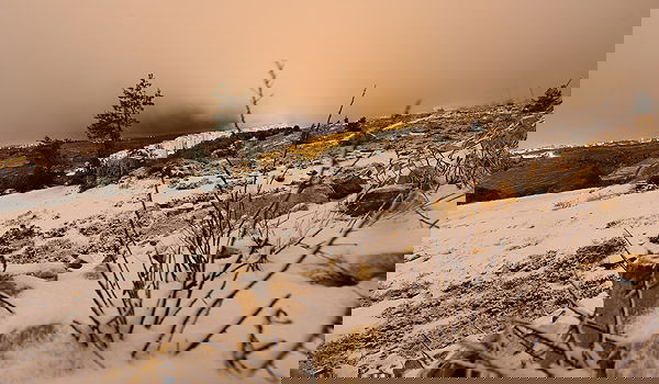 שלג בירושלים