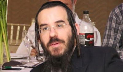 אלי זלמנוביץ, כותב השורות