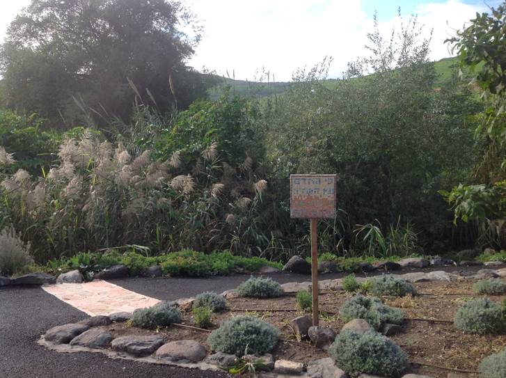 מדהים: סיור מצולם בנוף הפראי של הצפון