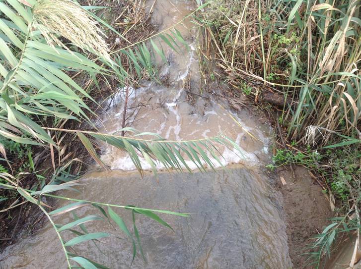 (צילומים: מני צור)