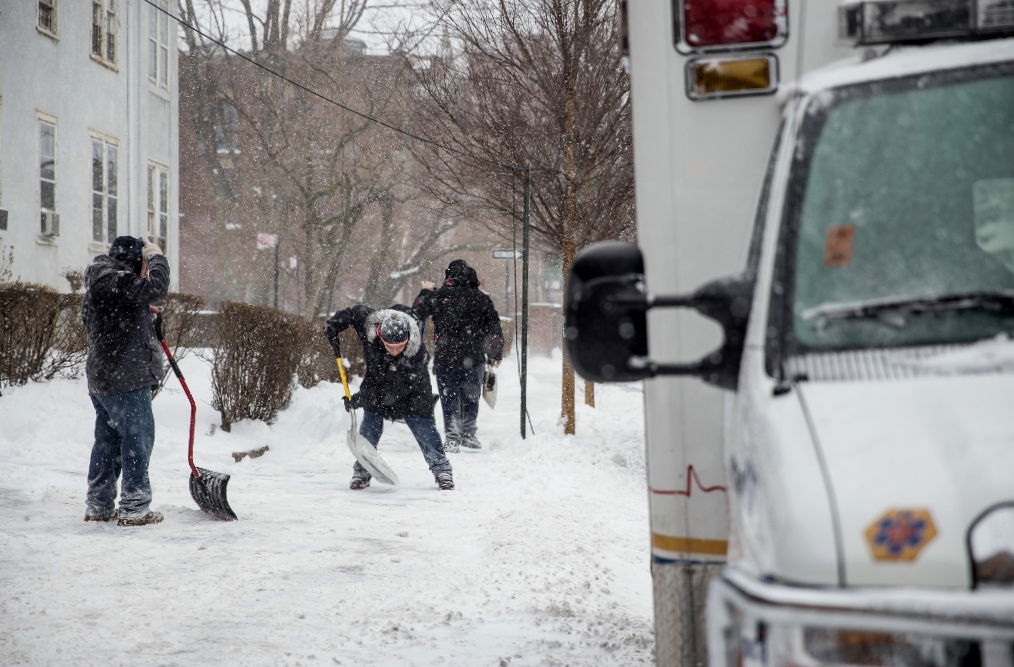 גלרית ענק: ילדי ניו יורק משחקים בשלג