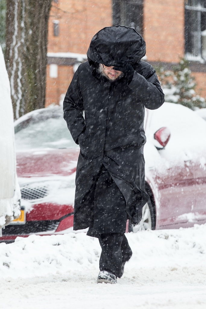 גלרית ענק: ילדי ניו יורק משחקים בשלג