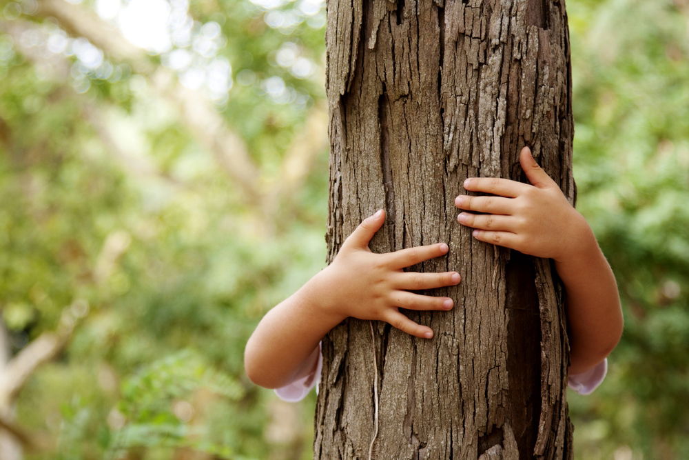 בדקו: אילו סודות מסתיר הגזע שציירתם?