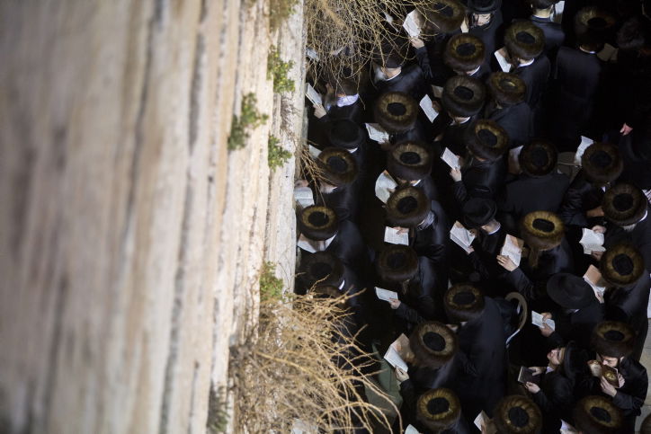 גלריה: האדמו"ר מבאבוב ואלפי חסידים בכותל המערבי