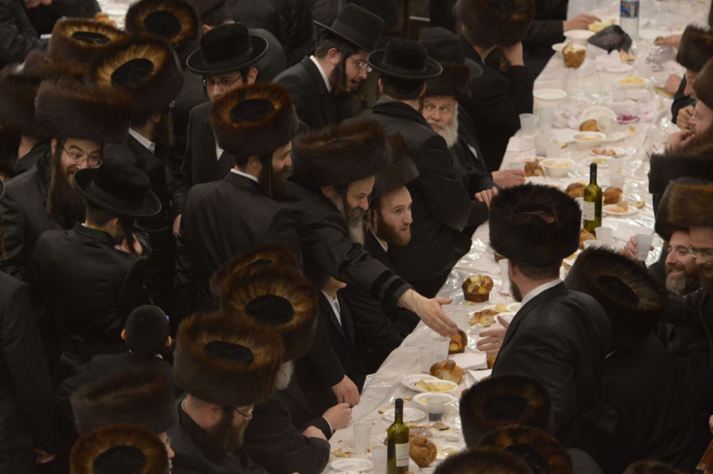 חתונת נכד האדמו"ר מסאטמר • גלריית ענק