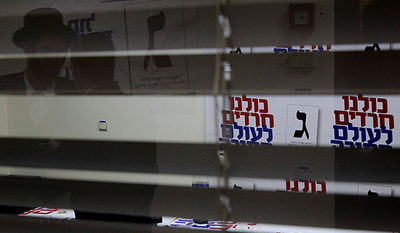 פעילים של יהדות התורה, ב-2013