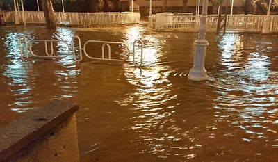 נחל 'הגעתון' עלה על גדותיו, בתים ועסקים הוצפו