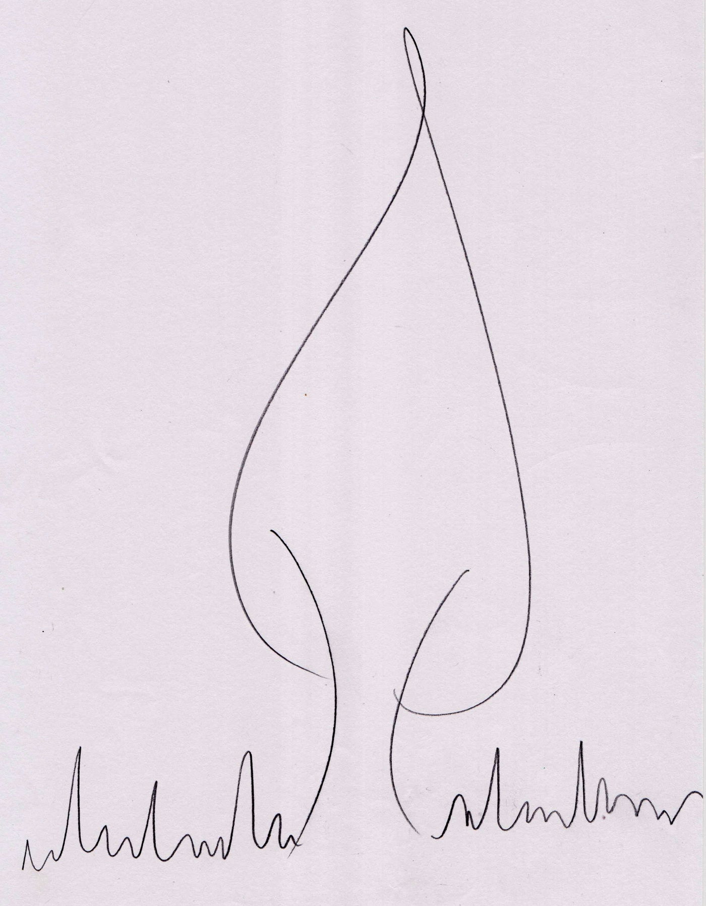 עץ הברוש של מלי