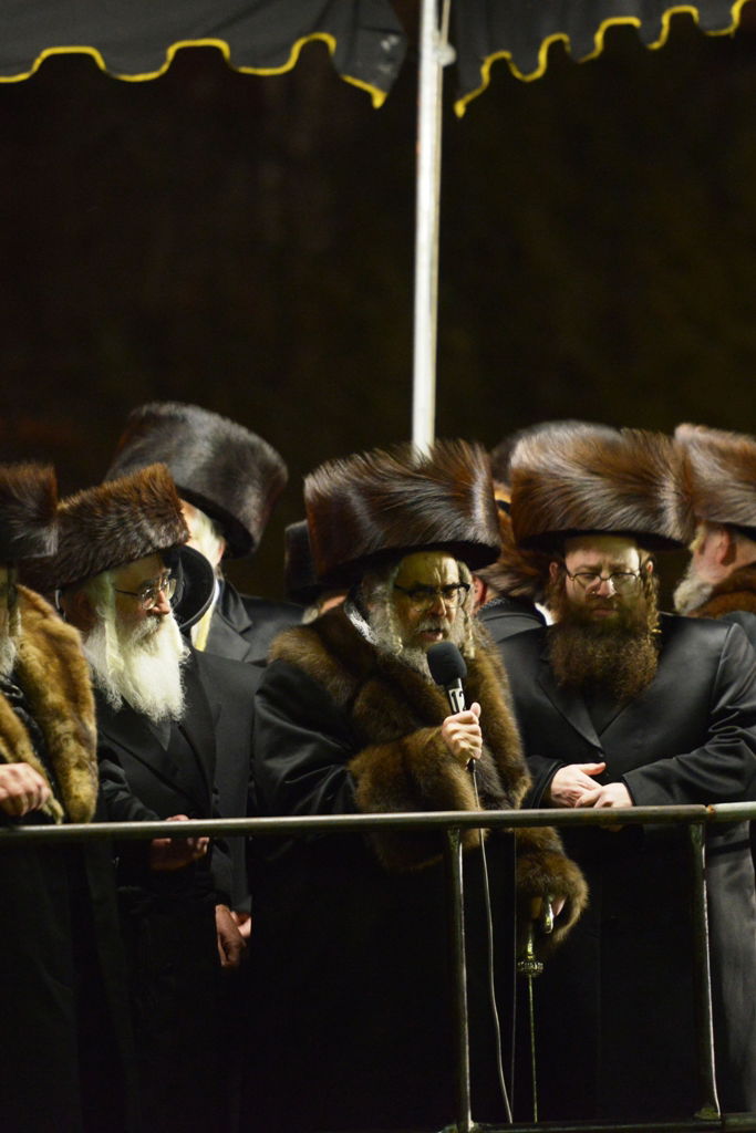 גלריה: חתונת נכד האדמו"ר מסאטמר