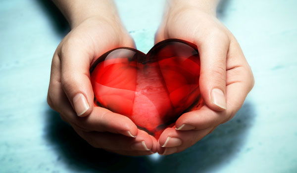 פרשת תרומה: החופש והחובה לתרום - גוונים בתרומת הלב