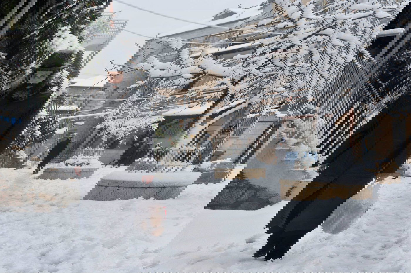 תיעוד מרהיב: צלמי לע"מ תיעדו את השלג הירושלמי