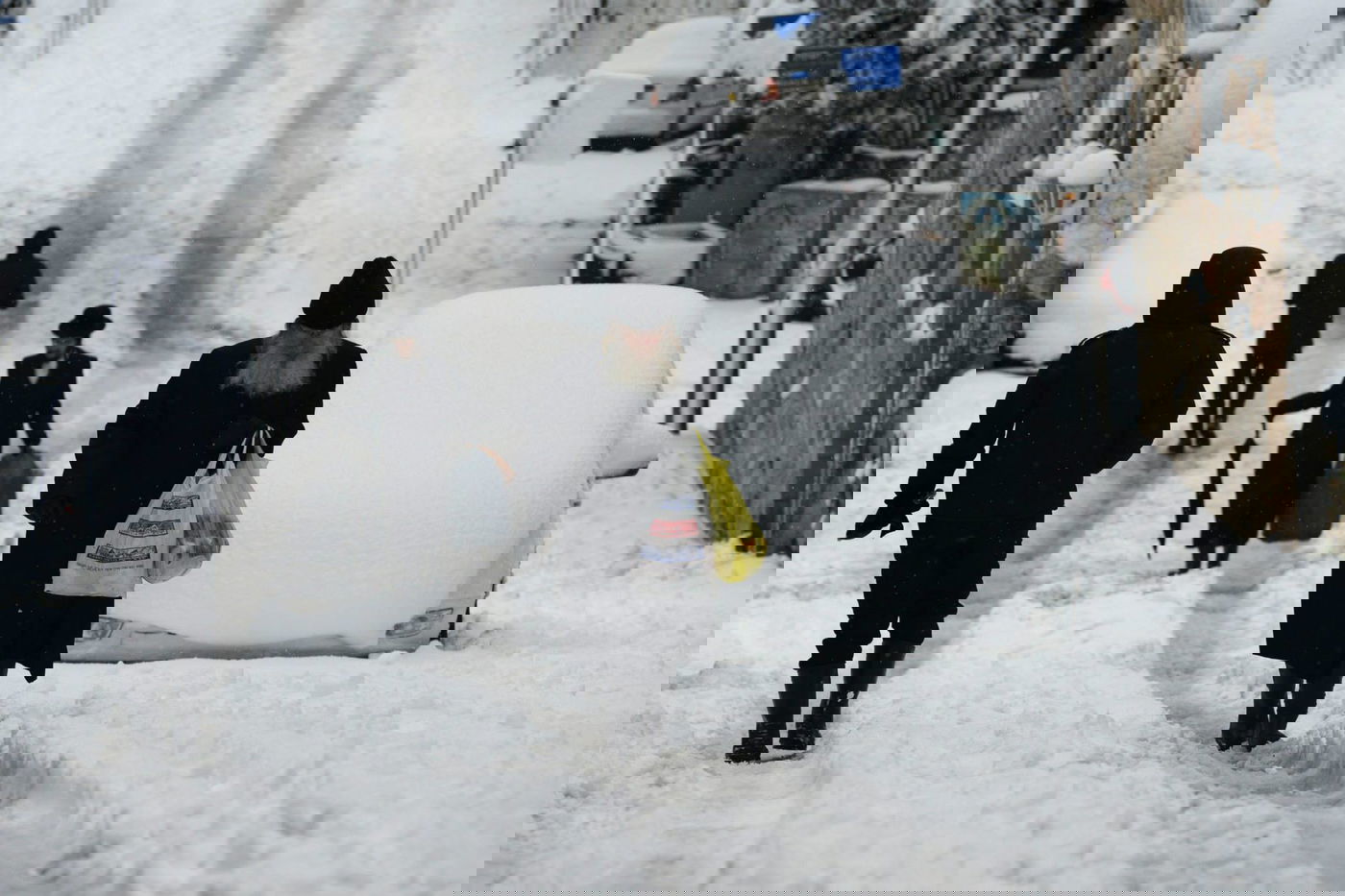 תיעוד מרהיב: צלמי לע"מ תיעדו את השלג הירושלמי