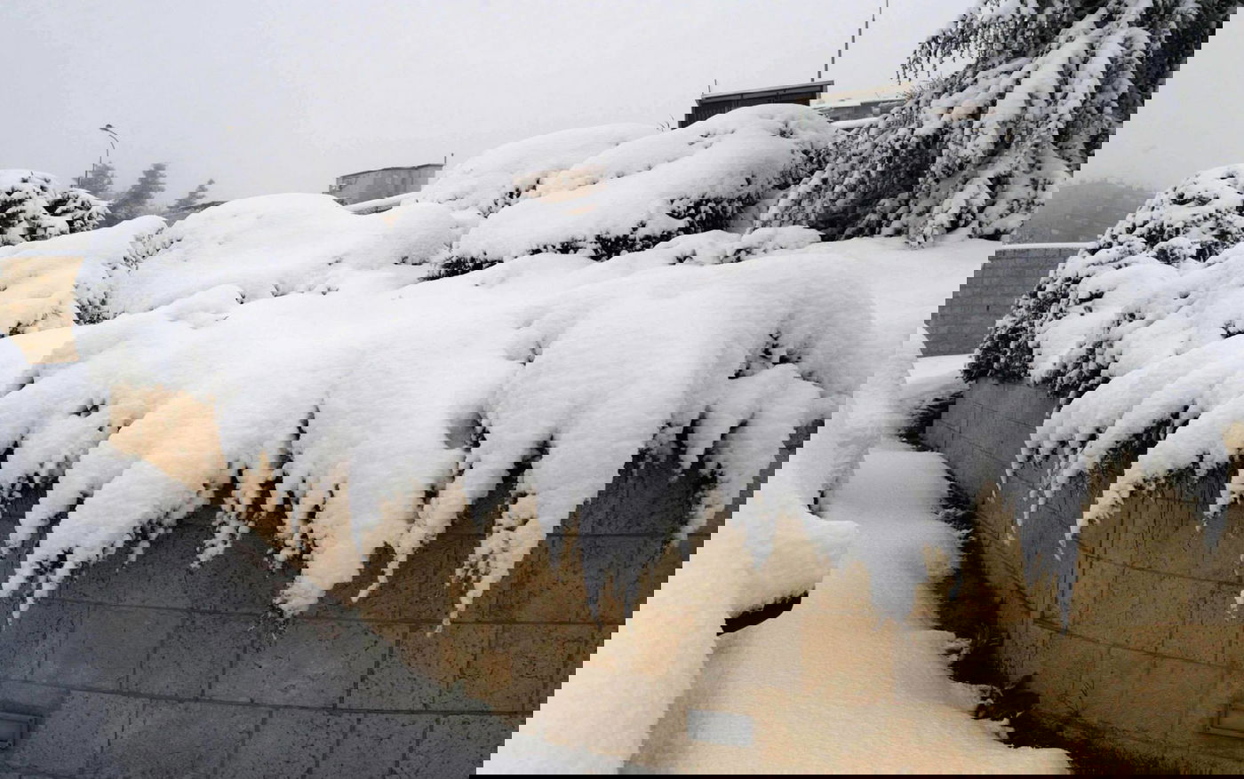 תיעוד מרהיב: צלמי לע"מ תיעדו את השלג הירושלמי