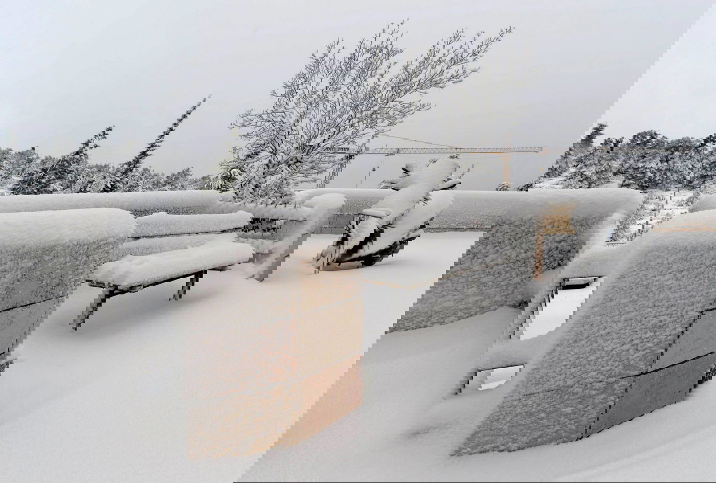 תיעוד מרהיב: צלמי לע"מ תיעדו את השלג הירושלמי