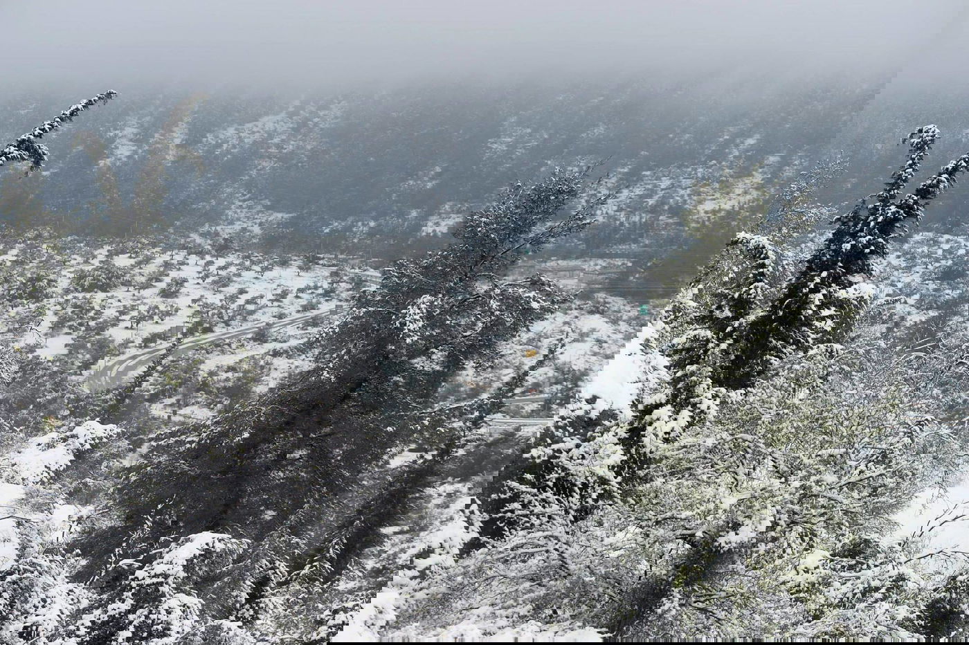 תיעוד מרהיב: צלמי לע"מ תיעדו את השלג הירושלמי