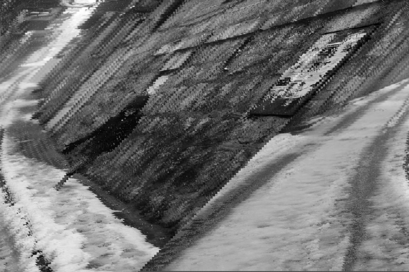 תיעוד מרהיב: צלמי לע"מ תיעדו את השלג הירושלמי