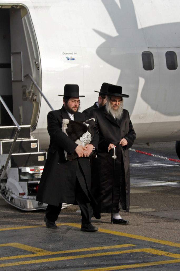 תיעוד ענק: ביקור אדמו"ר מסאטמר באנטוורפן