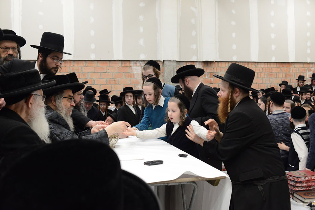 תיעוד ענק: ביקור אדמו"ר מסאטמר באנטוורפן