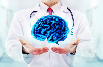 הגודל קובע? 5 מיתוסים על המוח