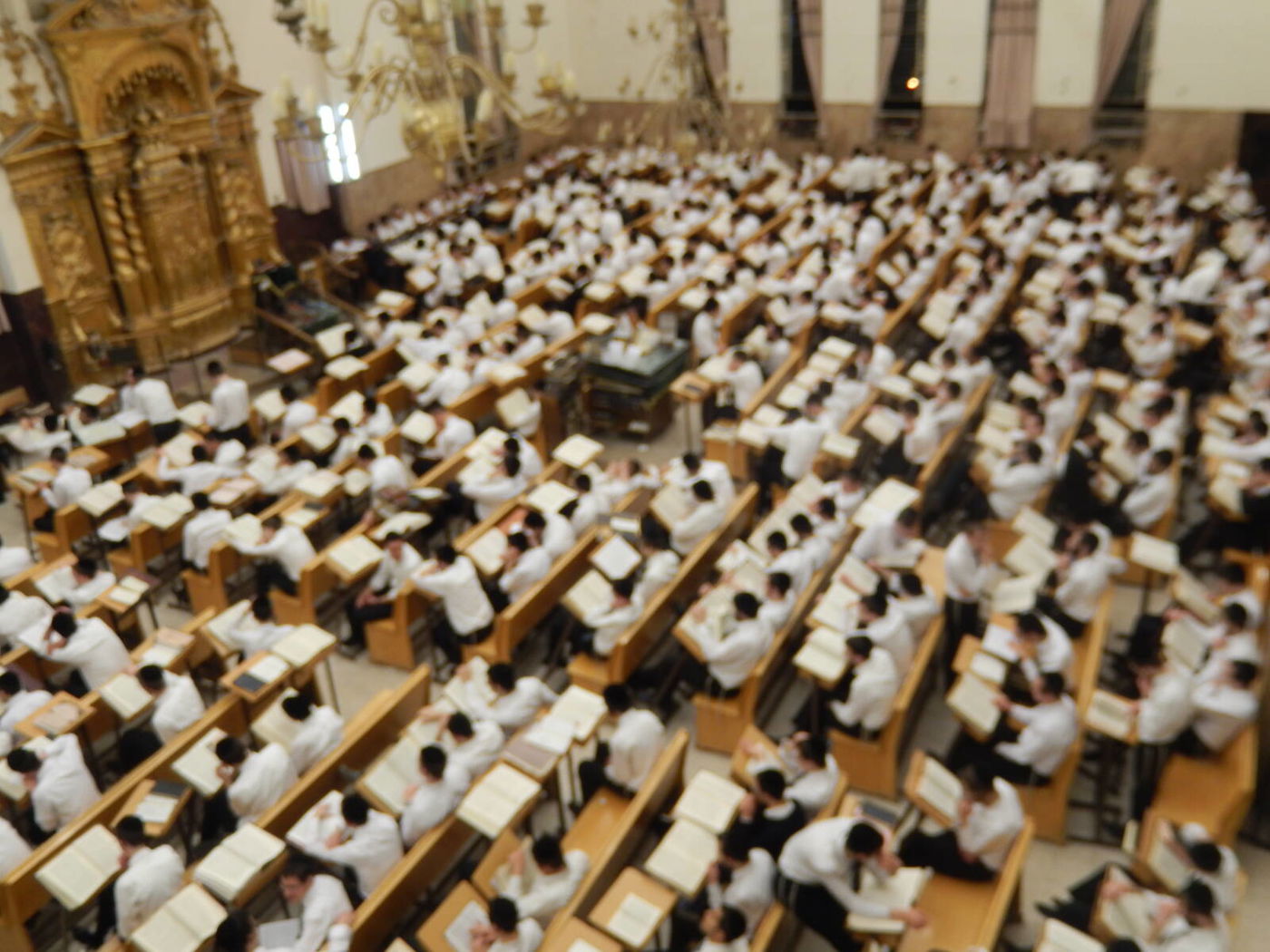 ליל פורים: בפוניבז' עשו שטייגען • צפו