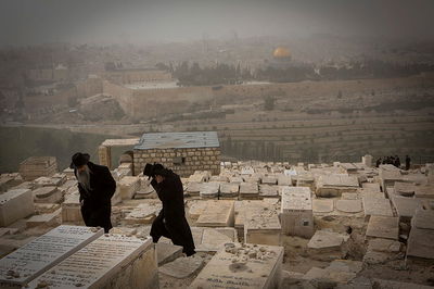 הר הזיתים, אילוסטרציה