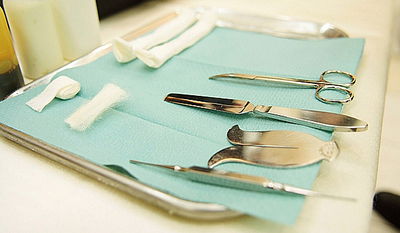 פלורידה: ביהמ"ש חייב למול את הבן - האם נמלטה