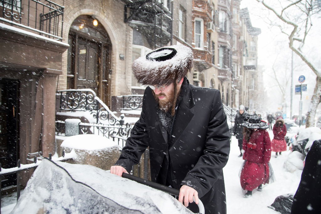גלריה: פורים מושלג בויליאמסבורג