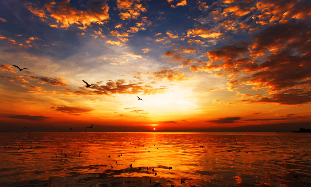 נפרדים ואוהבים