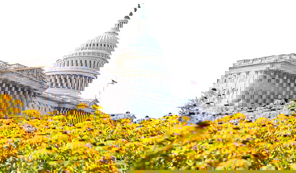 גבעת הקפיטול