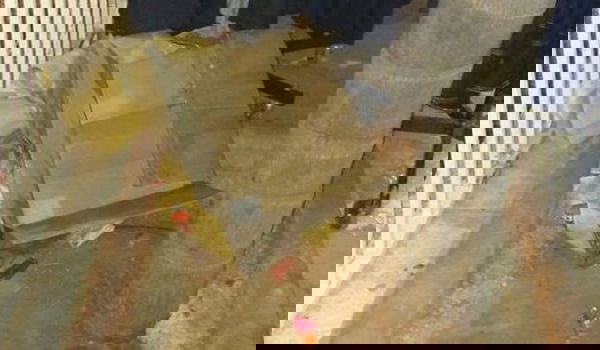 הזנחה חמורה באלעד: פעוט ישן במשך כמה ימים בתוך קרטון