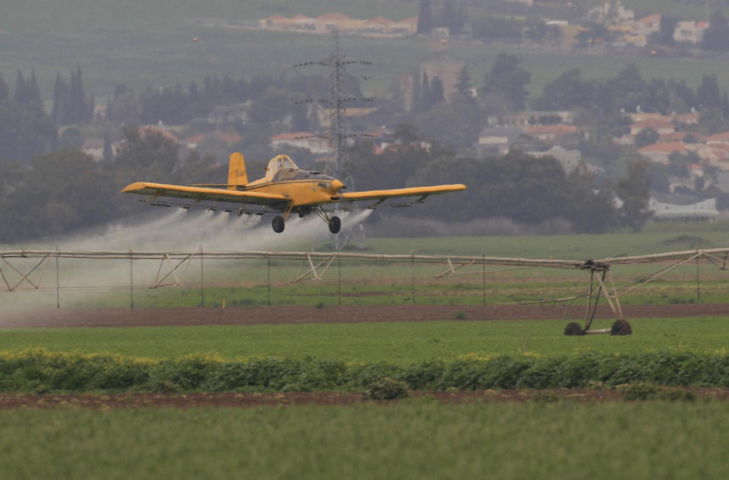 אילוסטרציה