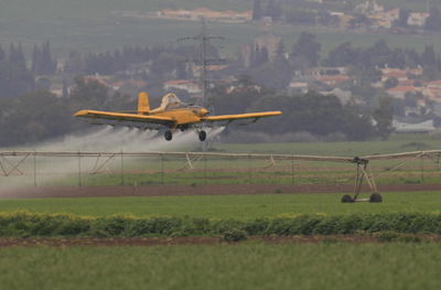 אילוסטרציה