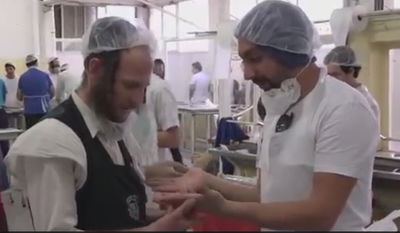 צפו: "המחמירים" אופים מצות לפסח