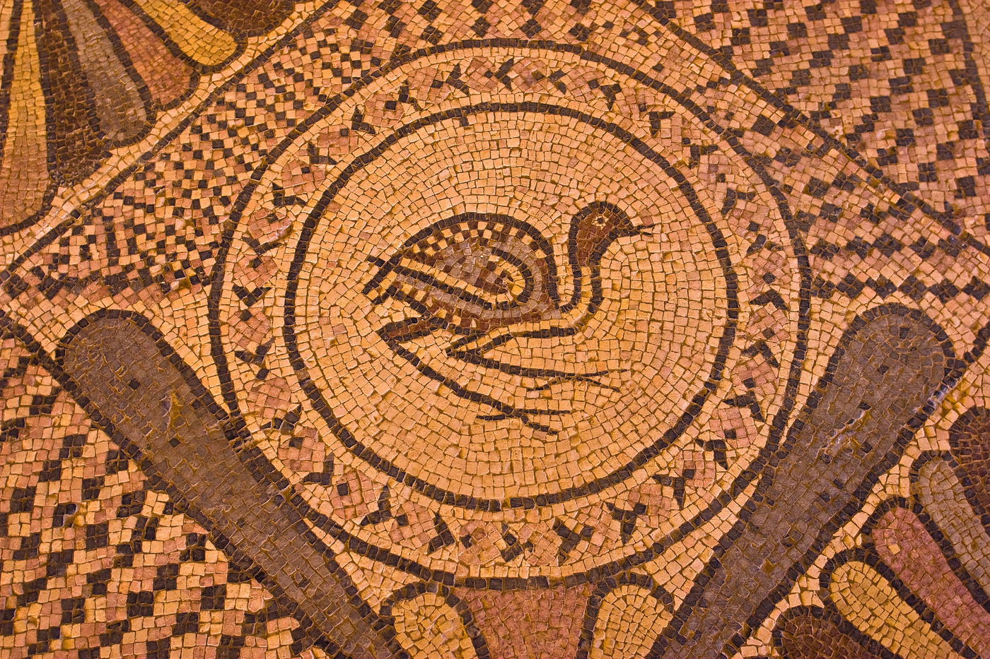 פסיפס בעין גדי